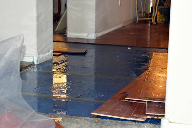 Professional Sewage Cleanup technician working in Preston, TX